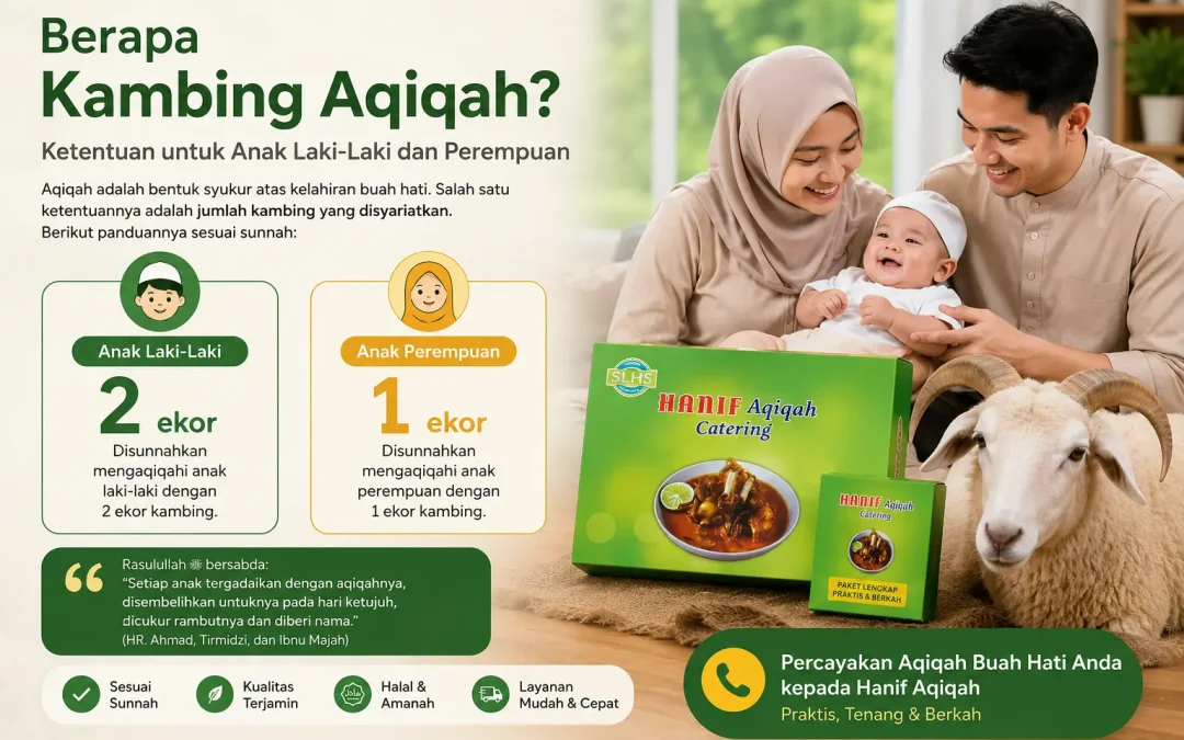 Berapa Kambing Aqiqah